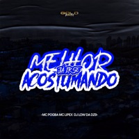 Melhor Já Ir Se Acostumando - Single - Dj Low Da Dz9, MC LIPEX & Mc Pogba