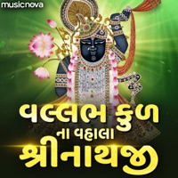 Vallabh Kulna Vhala Shrinathji - Single - Sanjay Omkar & Gul Saxena