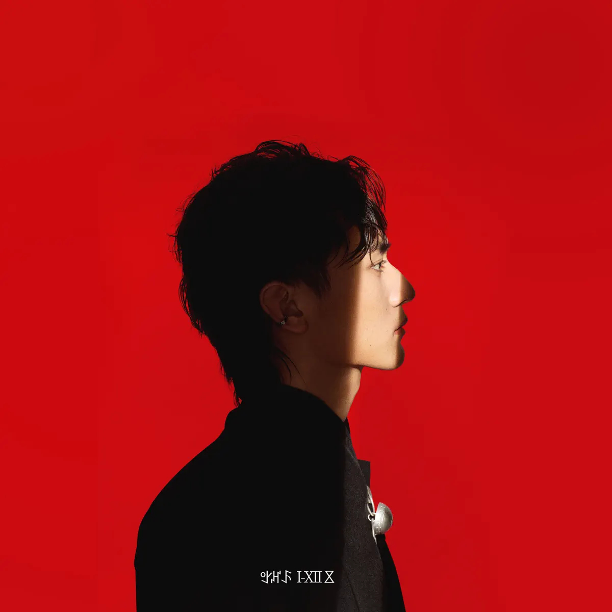 沈學風.碩果 – 雪子十二支 (2024) [iTunes Plus AAC M4A]-新房子