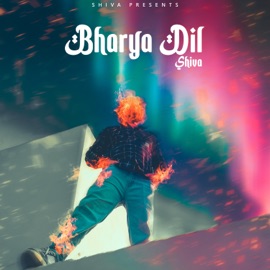 Bharya Dil (feat. Jaanu) Shiva