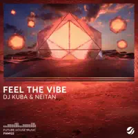 Feel the Vibe — Dj Kuba & Neitan