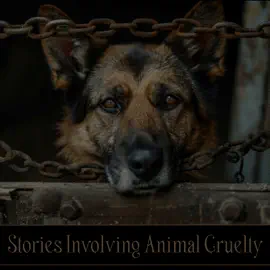Stories Involving Animal Cruelty: Some humans can be cruel, maybe they'll get what's coming to them…