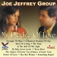 My Pledge Of Love