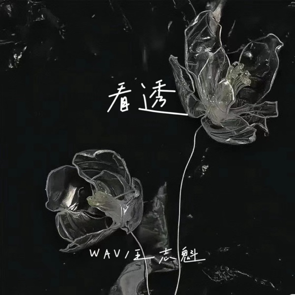 看透 - Single
