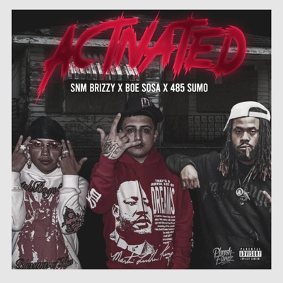 Activated (feat. Boe Sosa, SNM Brizzy & 485 KingSumo) - Single