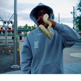 FREE WHO MATTERS LulSkarr