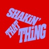 Shakin' That Thing (Extended Mix) cover art
