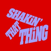 Shakin' That Thing (Extended Mix) artwork