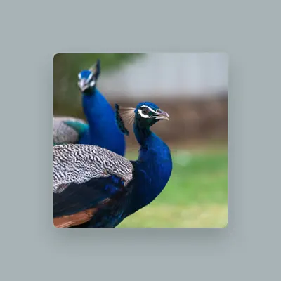 Listen to Ratnavel Vish 18, watch music videos, read bio, see tour dates & more!