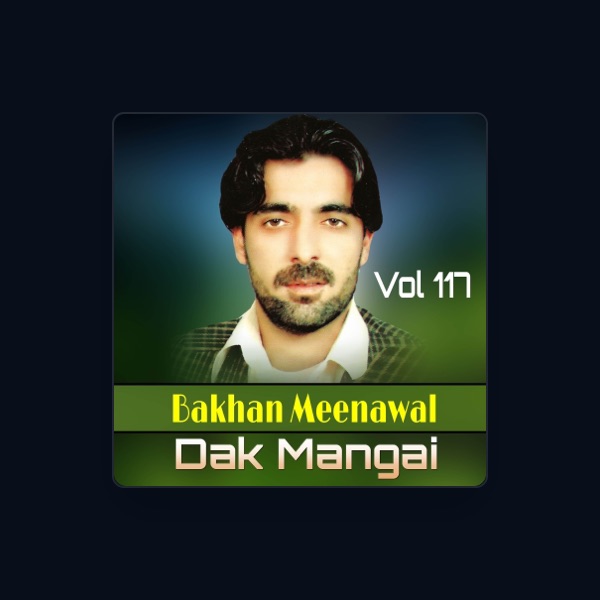 Bakhan Meenawal's avatar