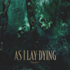 Burden - As I Lay Dying