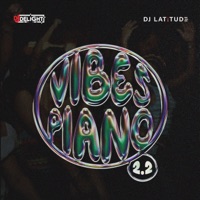 Vibez Piano 2.2 - Single - Djdelight & DJ Latitude