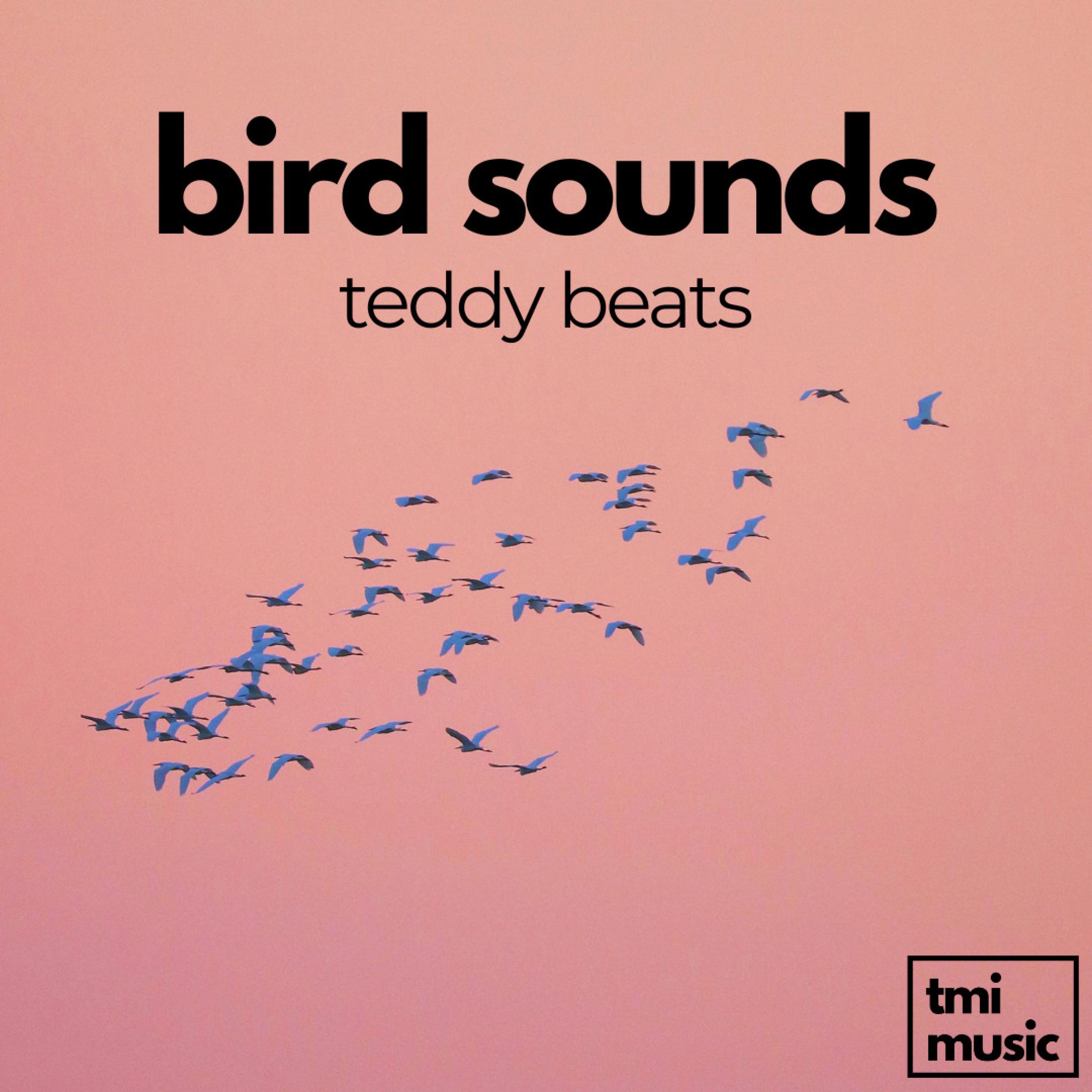 bird sounds - Single