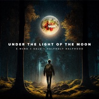 UNDER THE LIGHT OF THE MOON - S.M1nd