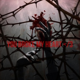 You Broke My Heart Lust 4 Blood