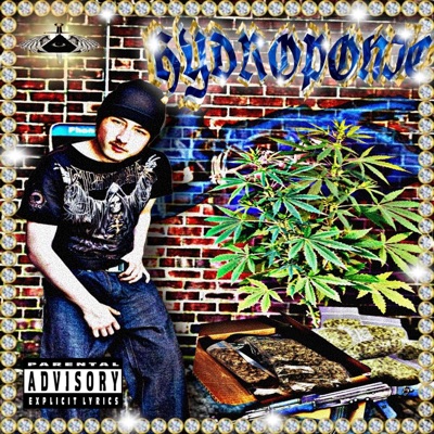 HYDROPONICS! - Single