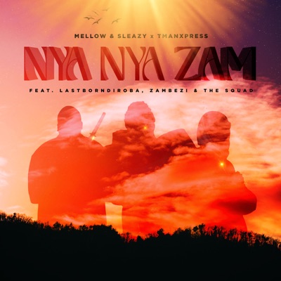 Nya Nya Zam (feat. LastBornDiroba, Zambezi & The Squad) - Single