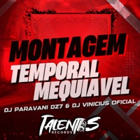 MONTAGEM TEMPORAL MEQUIAVEL - Single - DJ PARAVANI DZ7 & DJ VINICIUS OFICIAL