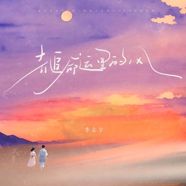 去追命运里的风 - Single