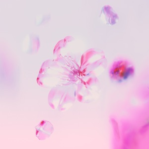 SAKURA (feat. Taka Perry)