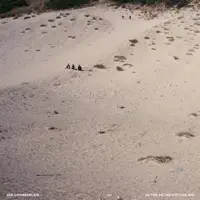 Running Through the World