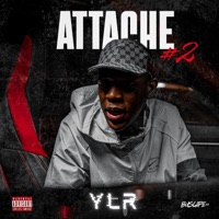Attache #2 - Single - YLR