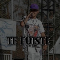 TE FUISTE - Single - El Baby Gali