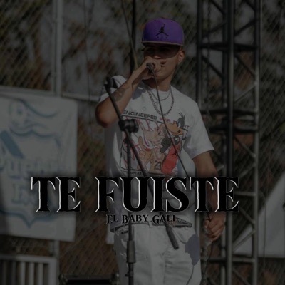 TE FUISTE - Single