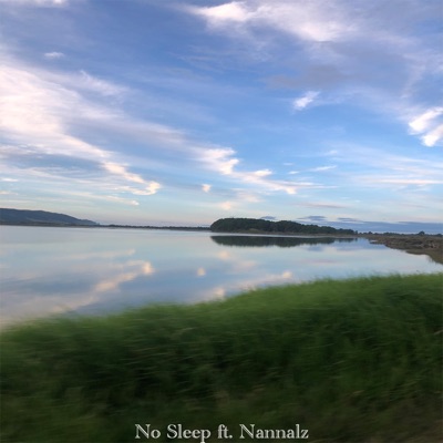 No Sleep (feat. Nannal) - Single