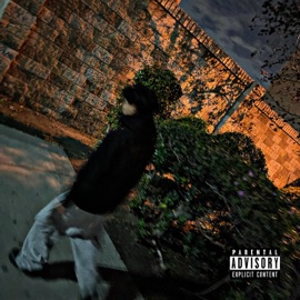 YMG Cypher (feat. $hin, 3XOH, 0s Zae & TearDrop) Jvsph