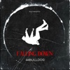 Falling Down - Single