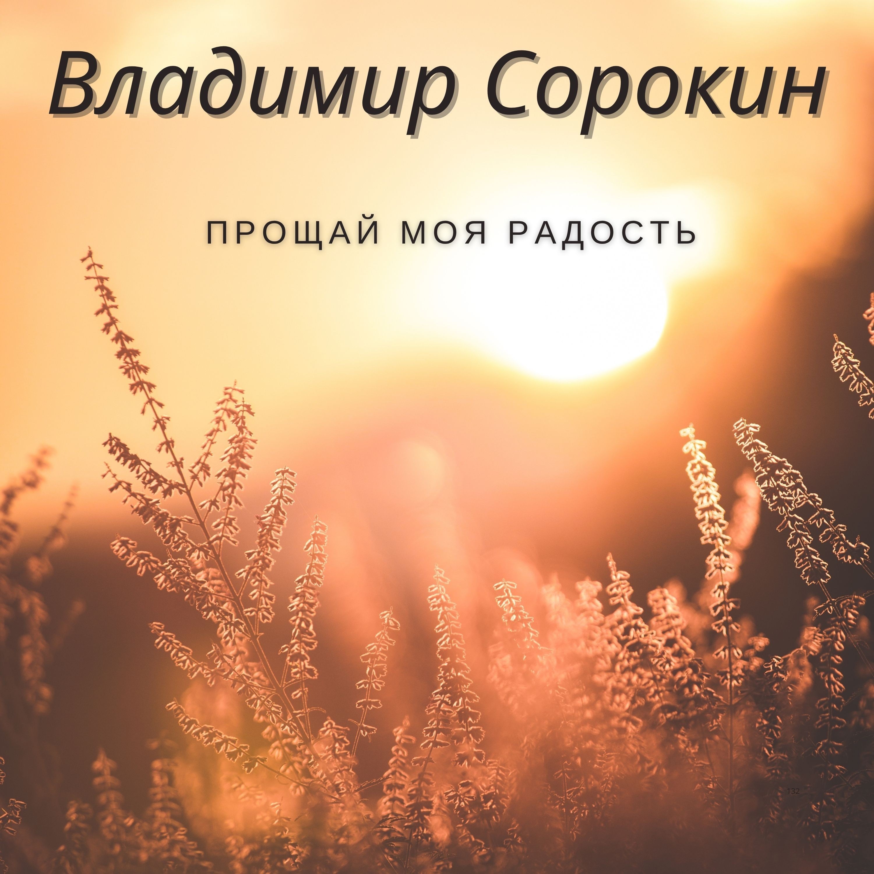 Прощай моя радость