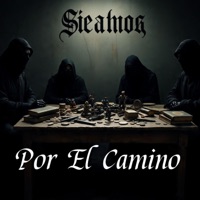POR EL CAMINO (feat. LOKOS DEL BARRIO, ADRIAN RDZ & Groker 872) - Single - Pollo Zpt