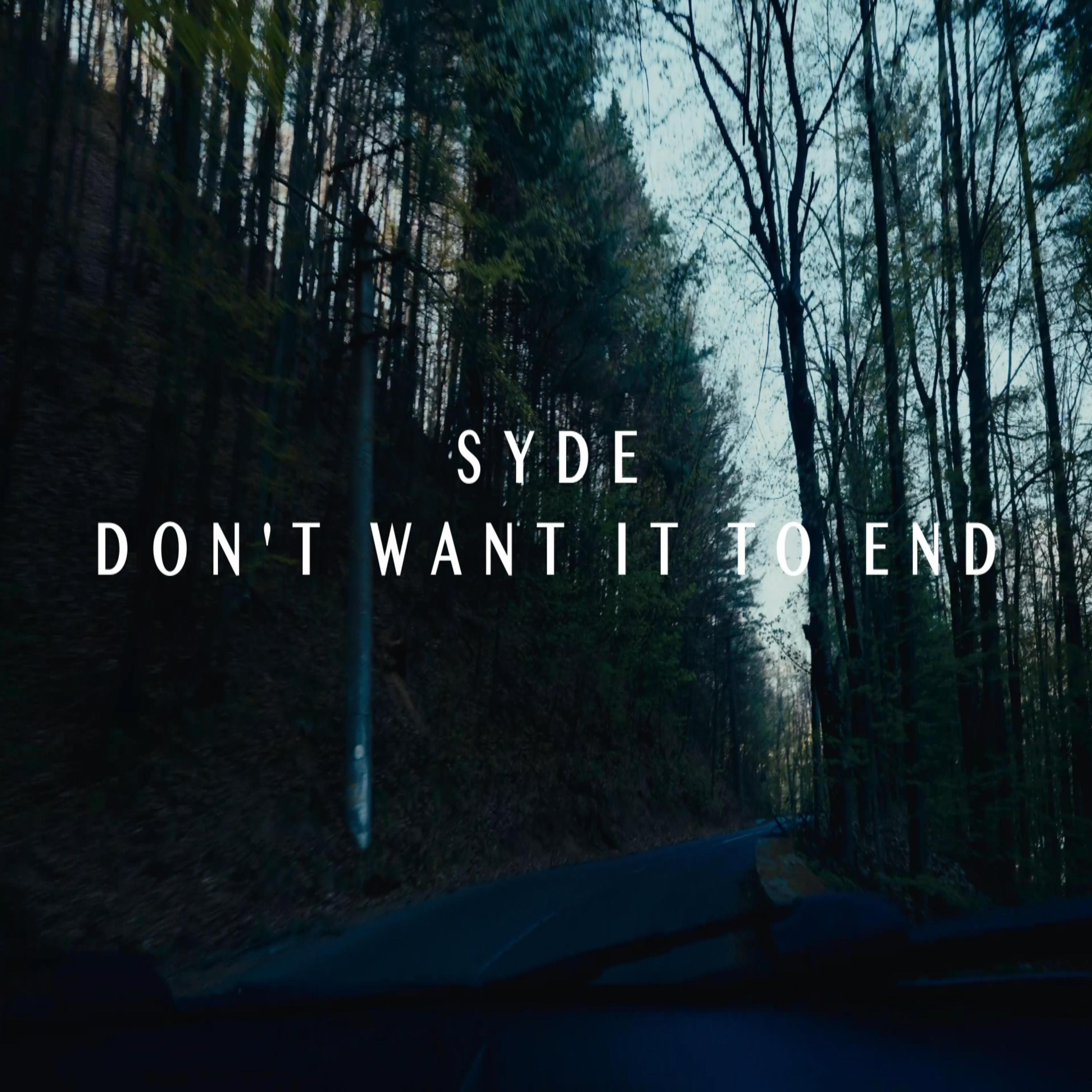 Don't want it to end - Single