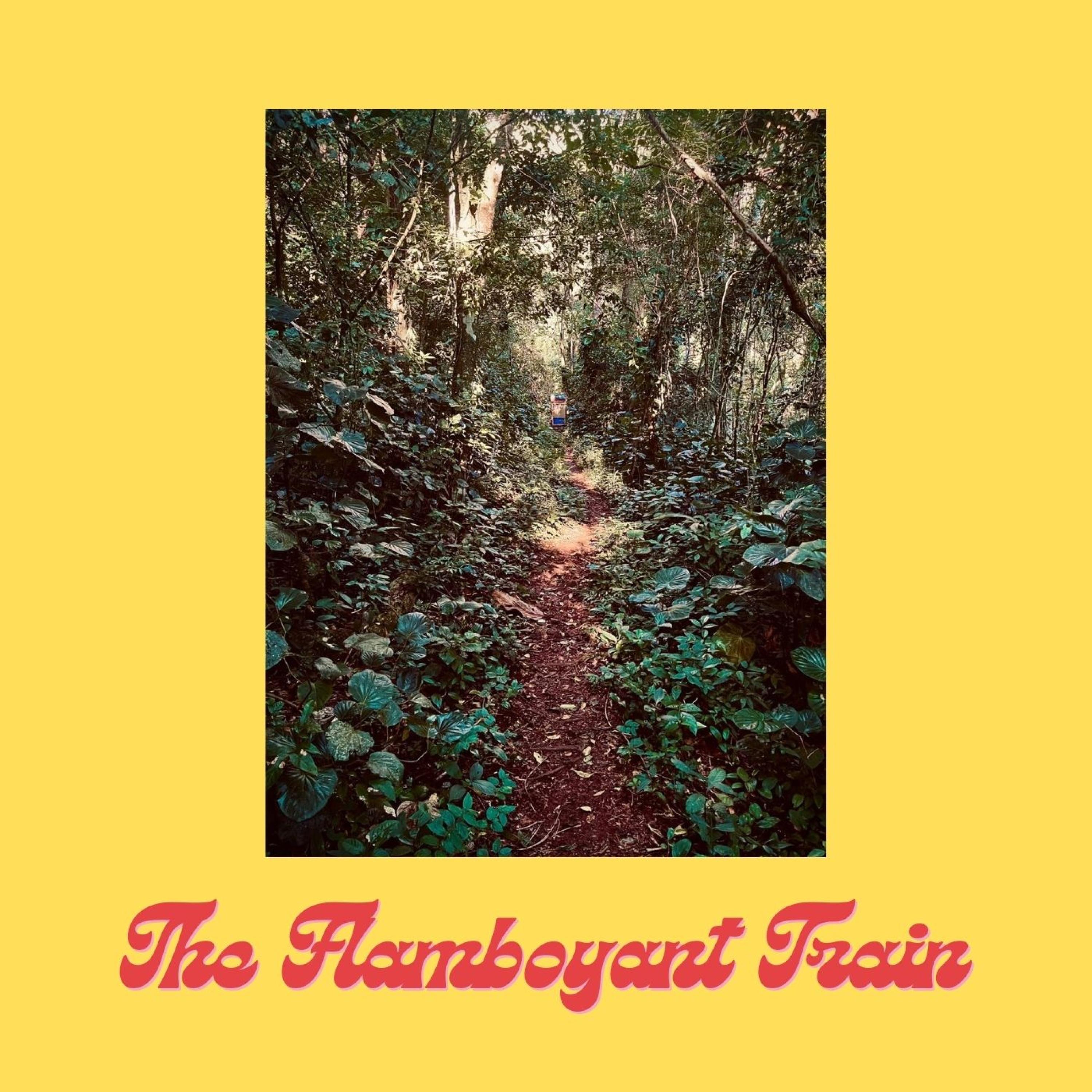 The Flamboyant Train