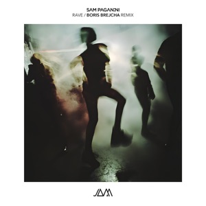 Rave (Boris Brejcha Remix)