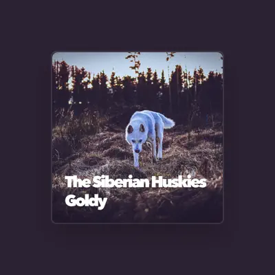 Listen to The Siberian Huskies, watch music videos, read bio, see tour dates & more!