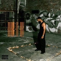 AFTER IT ALL.. - DIEGEAUX