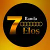 Banda 7 Elos - Não vivo sem você