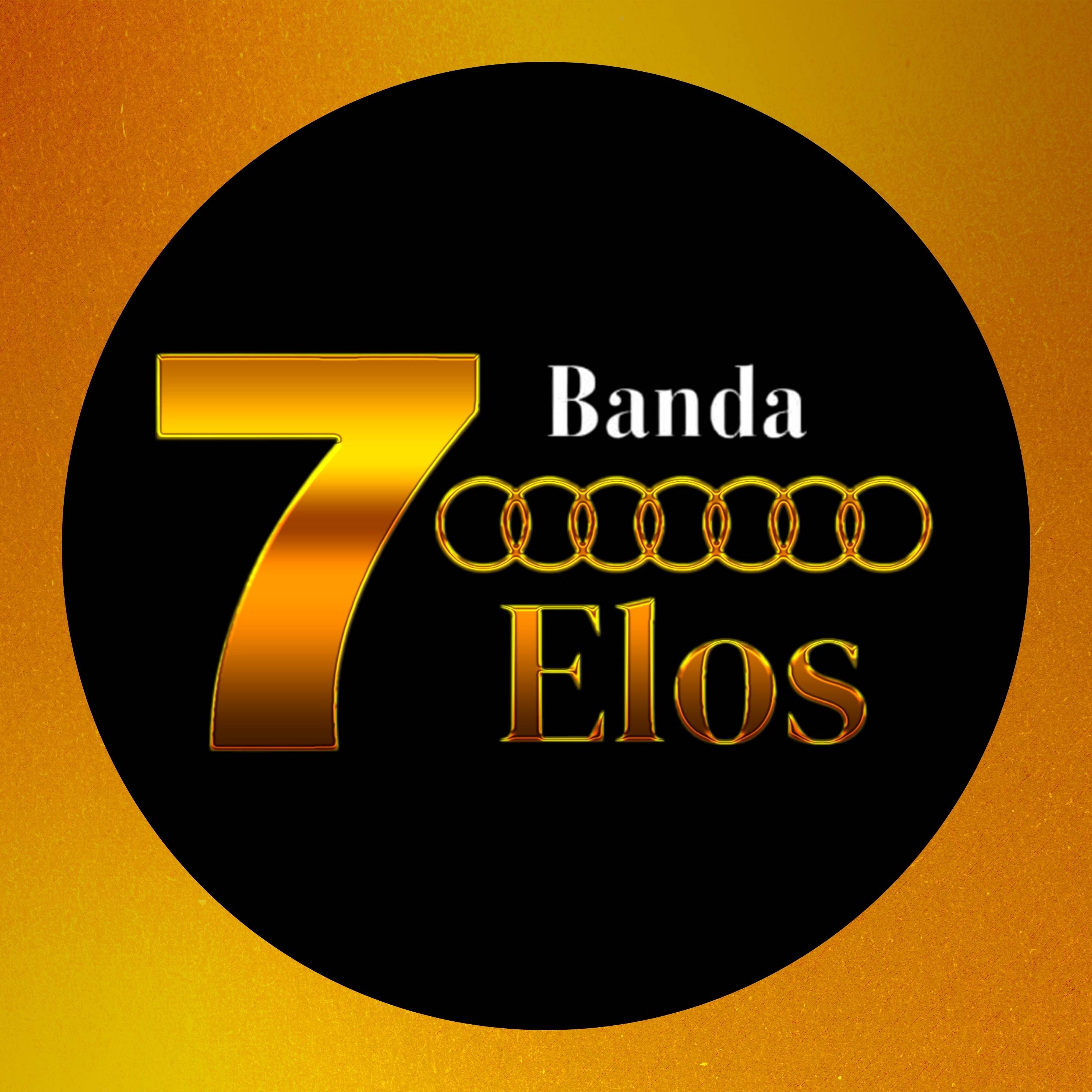 Não vivo sem você - Single