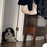 Lightning (feat. Sam) - Single - Daydream