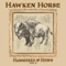 Mount Moriah (feat. Rylie Bourne) - Hawken Horse lyrics