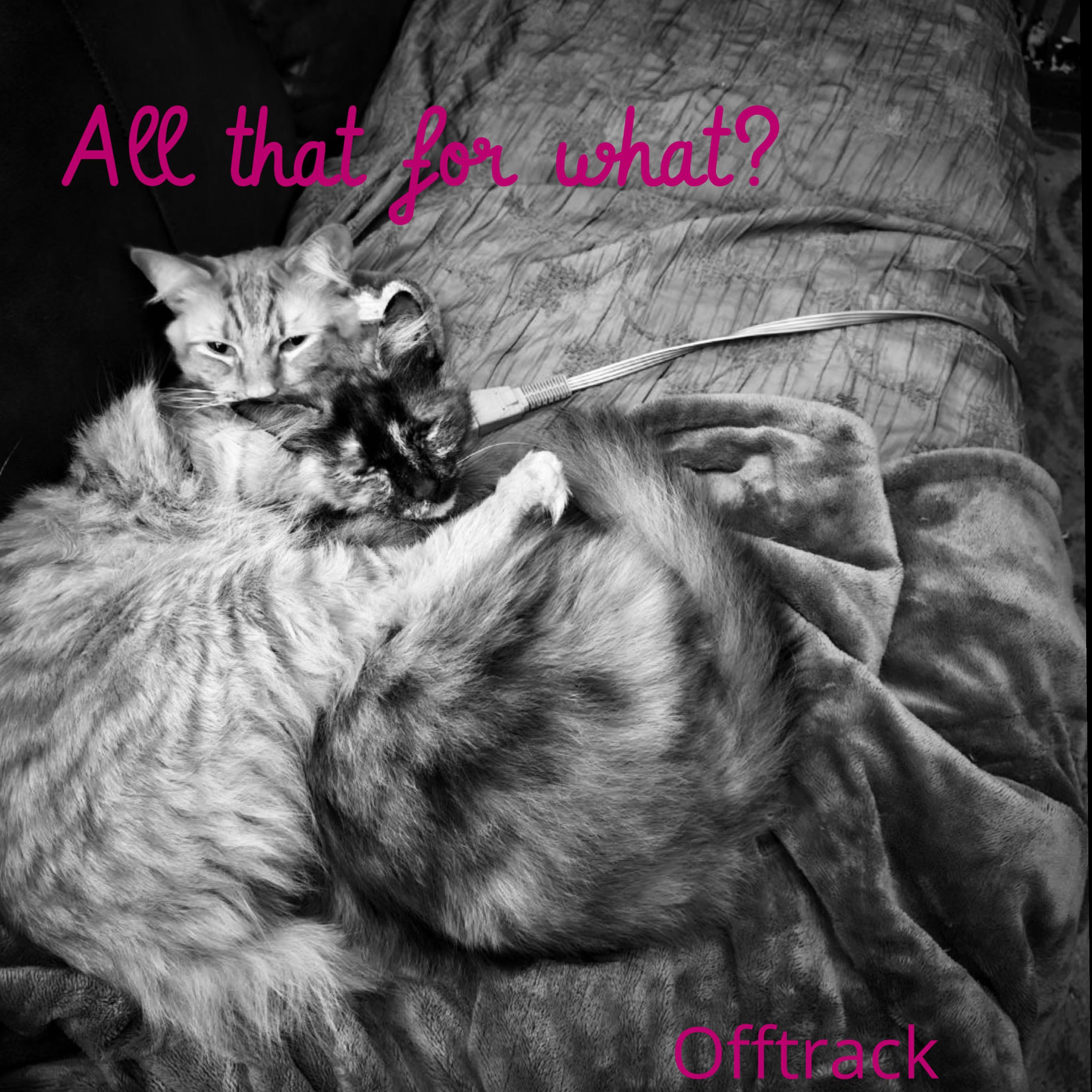 All that for what? - Single