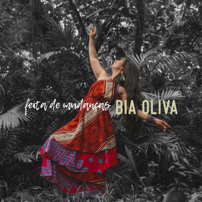 Feita de Mudanças (feat. Sopro da Música, Hicaro de Cambury, João Henrique & Jeff Tchalla) - Single