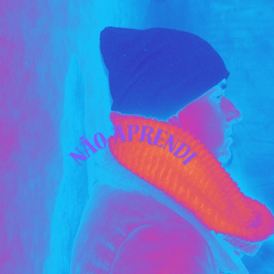 Não Aprendi - Single