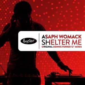 Shelter Me: Dennis Ferrer Mixes - Single