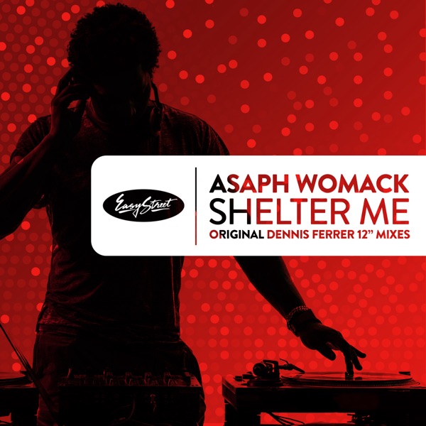 Shelter Me: Dennis Ferrer Mixes - Single