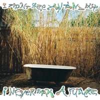 I DIDN'T SEE AN END BUT I NEVER SAW A FUTURE - EP - Miles Singleton