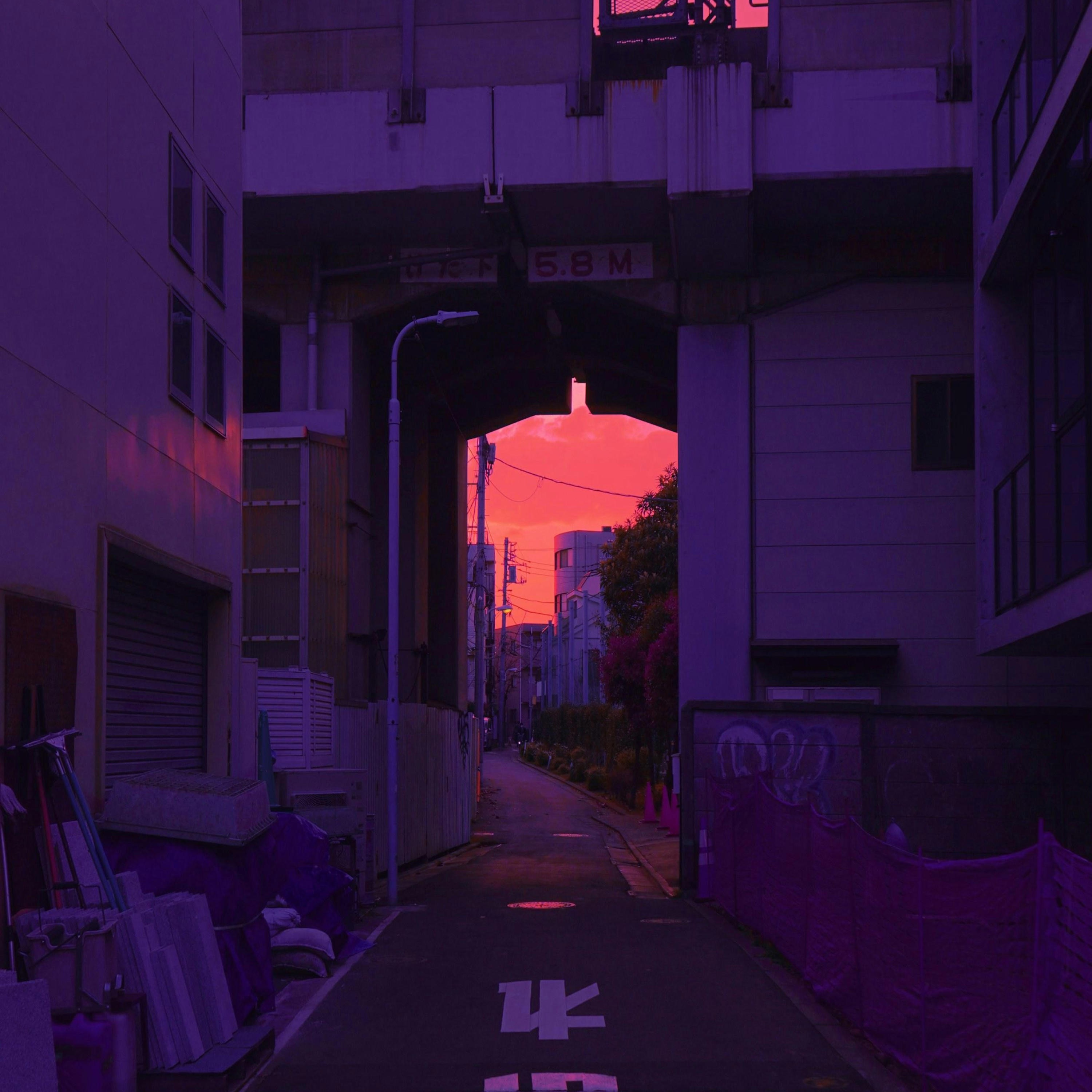 twilight travels - Single