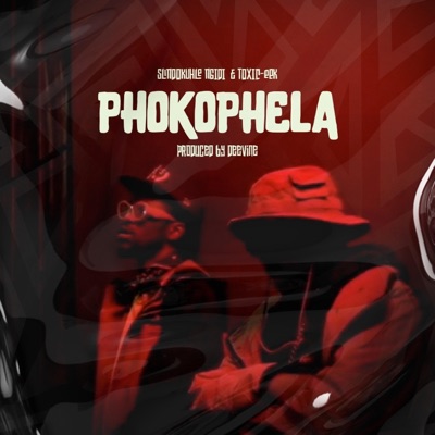 Phokophela (feat. Toxic-eek) - Single